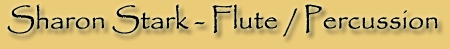 Sharon Stark Flute / Percussion